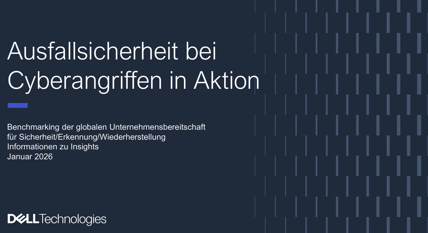 Einblicke in die Cyber-Resilienz &ndash; Weltweit