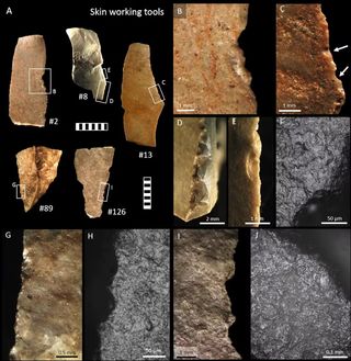 A collection of stone tools with close-ups of their surface