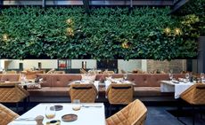 Outside seating with leather chair covers and white table clothes, a wall of green as a backdrop