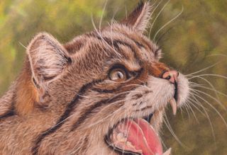 how to draw fur with pastels - painting of a cat