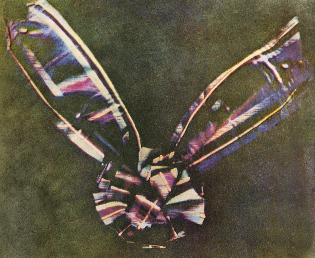 A photo taken in 1861 of a color tartan-pattern ribbon tied in a bow