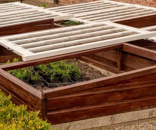 DIY cold frames made from wooden frames and old windows