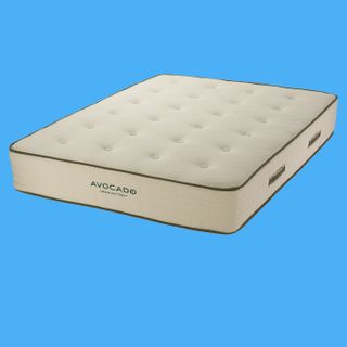 The Avocado Green Mattress, pictured on a blue background, is the best organic bed of 2024