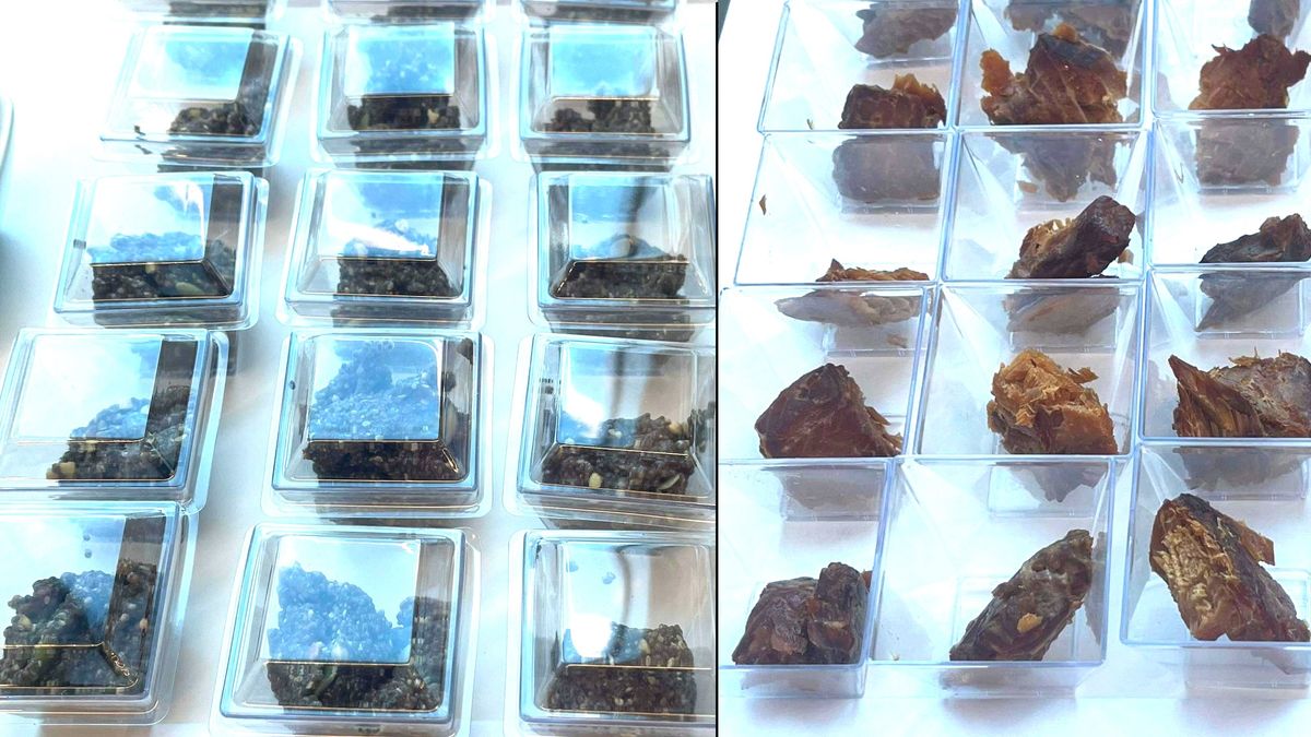 Artemis 2 Moon Astronauts Will Enjoy Maple Cream Cookies And Smoked