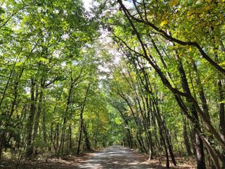 Samsung Galaxy S20 FE review camera samples