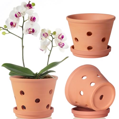 6 Inch Terracotta Orchid Pots With Holes, Saucers - 3 Pack Clay Orchid Planter Pots for Repotting, Small Terra Cotta Pot, Indoor & Outdoor, Promotes Air Circulation
