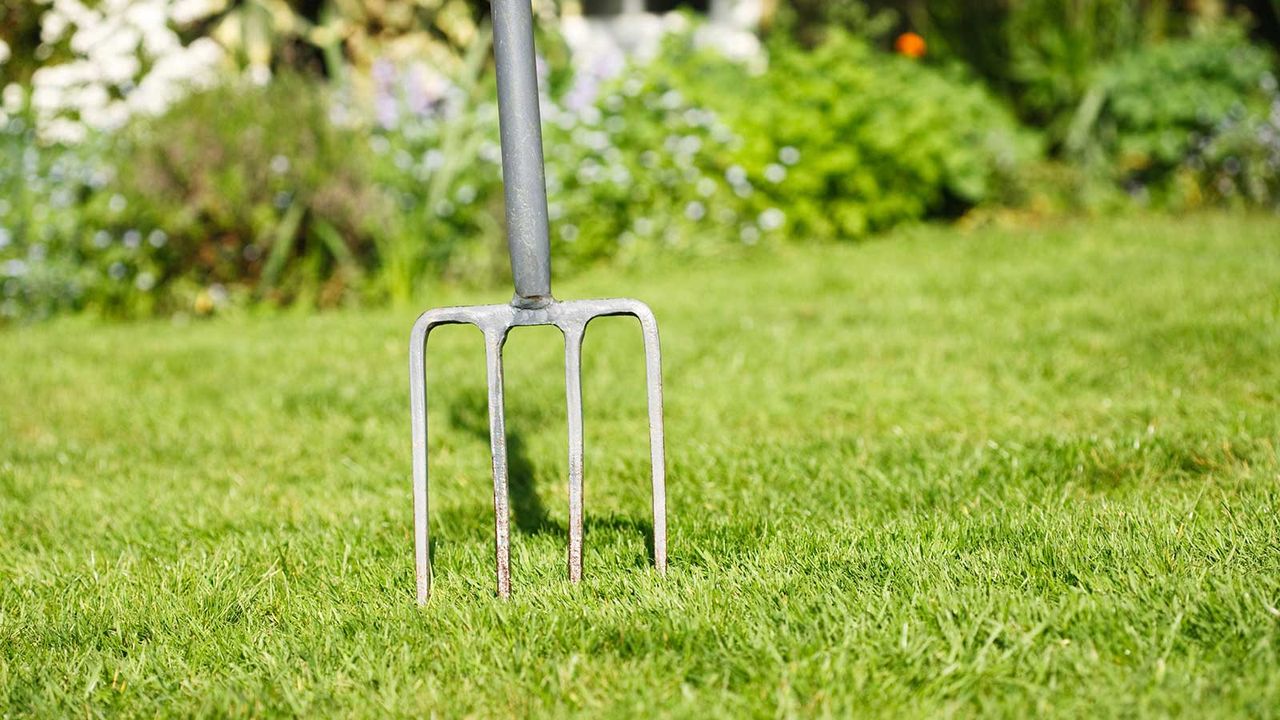 fork in garden lawn