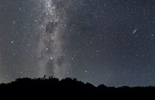 An image of the night sky with trees silhouetted at the bottom.