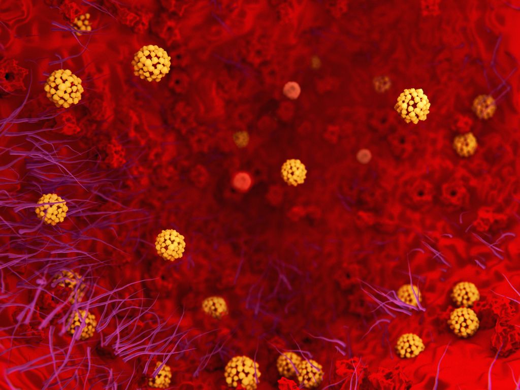 coronavirus in the lung