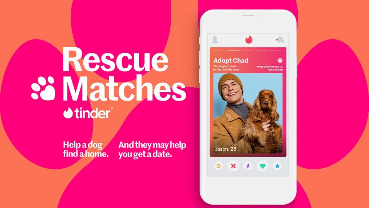 Tinder launches 'Rescue Matches' feature that matches users with an ...