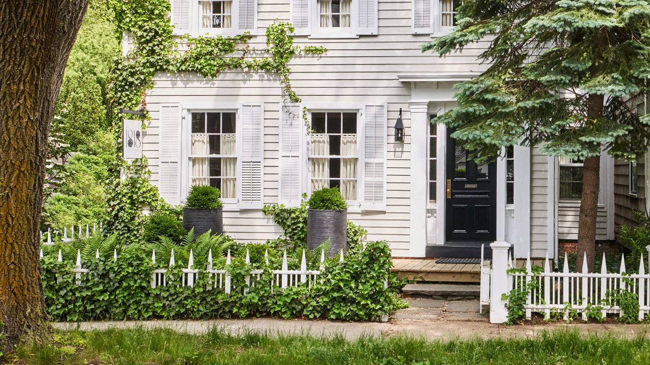 a small front yard with planting