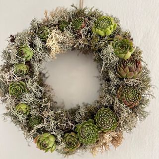 Spring live succulent and reindeer lichen wreath