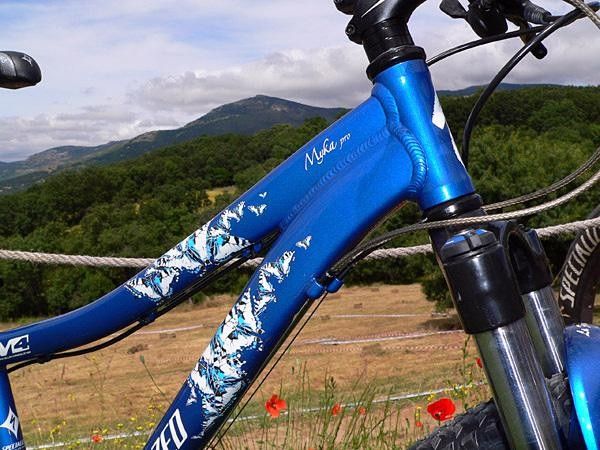While it's likely true that not all women want pink bikes, a bit of flair might go a long way.