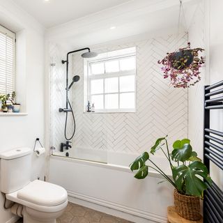 bathroom with shower bathtub and potted plant