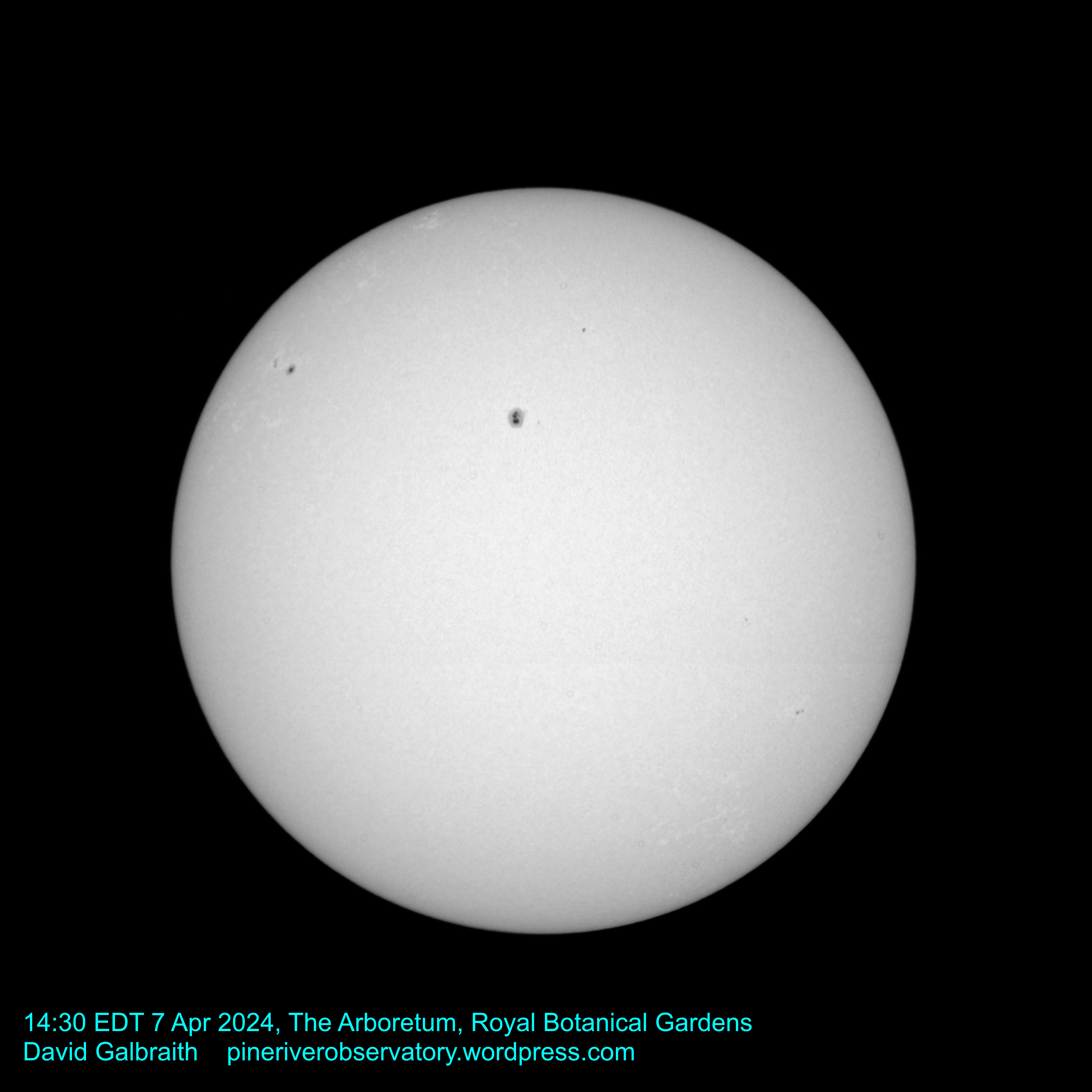 An image of the unobstructed sun with several large sunspots visible on its white surface