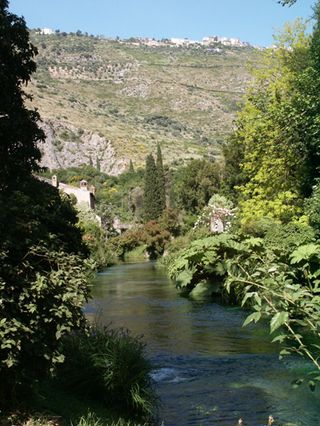 ninfa garden