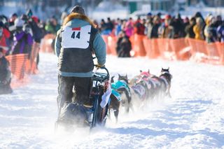 Iditarod photos, last great race, dogsledding