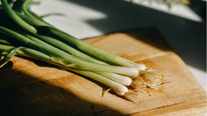 How to grow green onions indoors