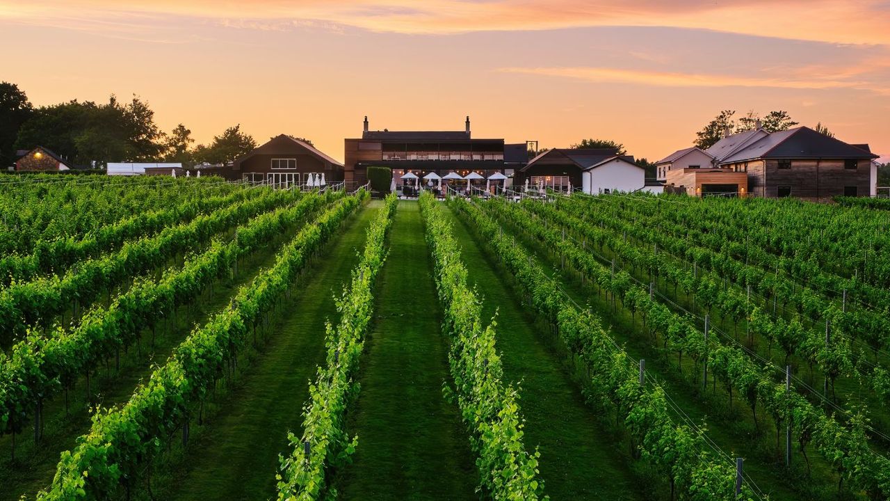 Llanerch Vineyard in Pontyclun, Vale of Glamorgan, Wales