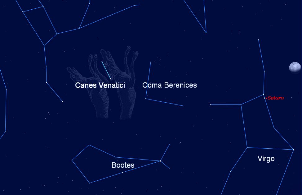 Созвездие дог. Canes Venatici Constellation. Canes Venatici бренд. Stella TX Canes Venatici. Canes Venatici бренд одежды отзывы покупателей.