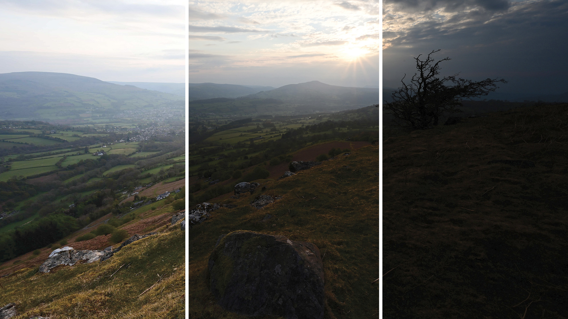 Three sections of the same image of a lone tree on the Brecon Beacons, each taken at a different exposure