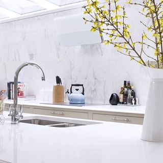 kitchen room with marble worktop and mixer tap with sink and plant on jug