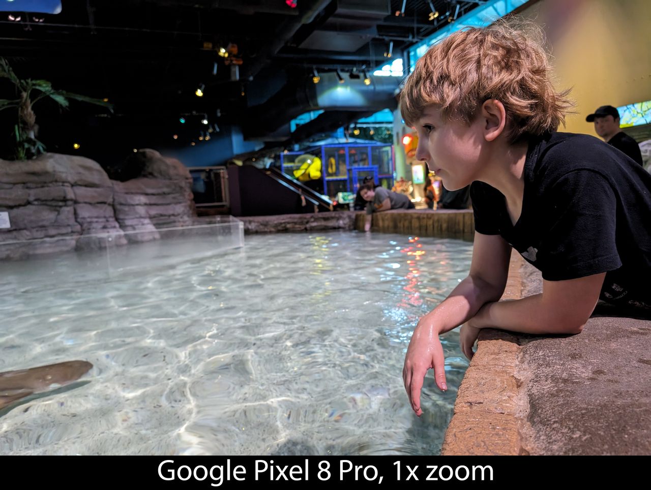 Camera samples from the Google Pixel 8 Pro's main camera