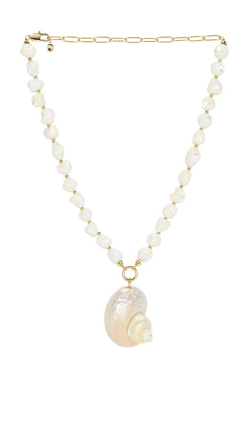 Sunken Treasure Shell Necklace