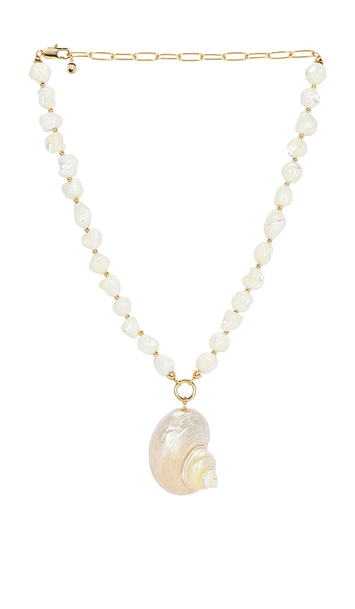 Sunken Treasure Shell Necklace