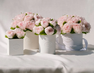 A collection of round ad square box bouquets of pink peonies