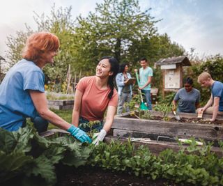 Group of men and women working in raised bed garden