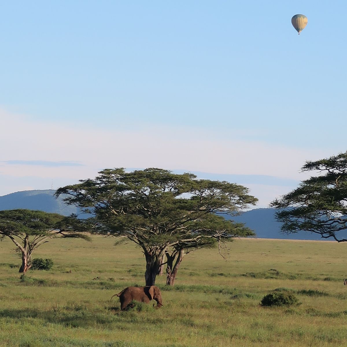 Balloon safari in Tanzania