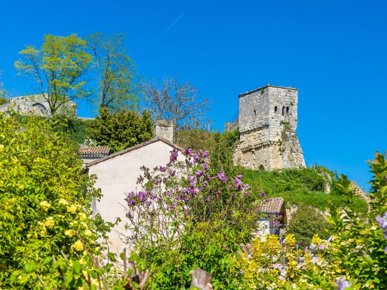 A Medieval Garden Design