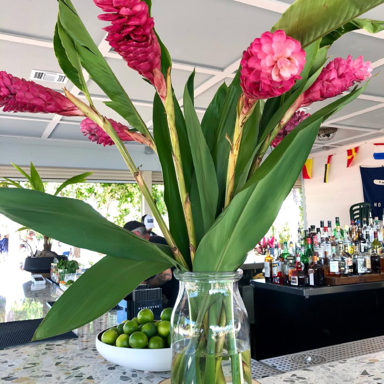 miami guide nina johnson