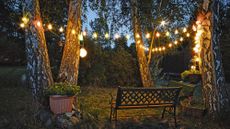 Grassy backyard lawn featuring a pair of garden benches underneath several tall trees softly aglow with outdoor string lights