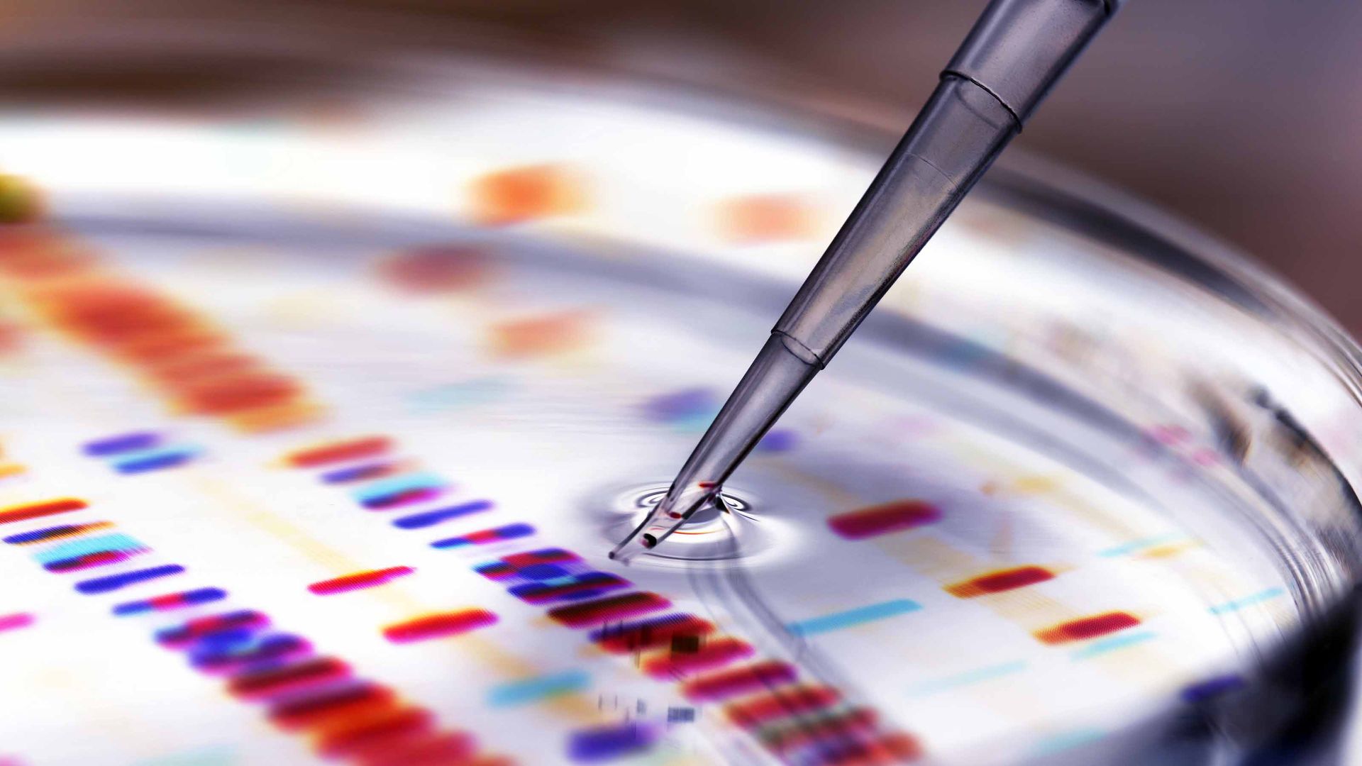 Corcept Therapeutics