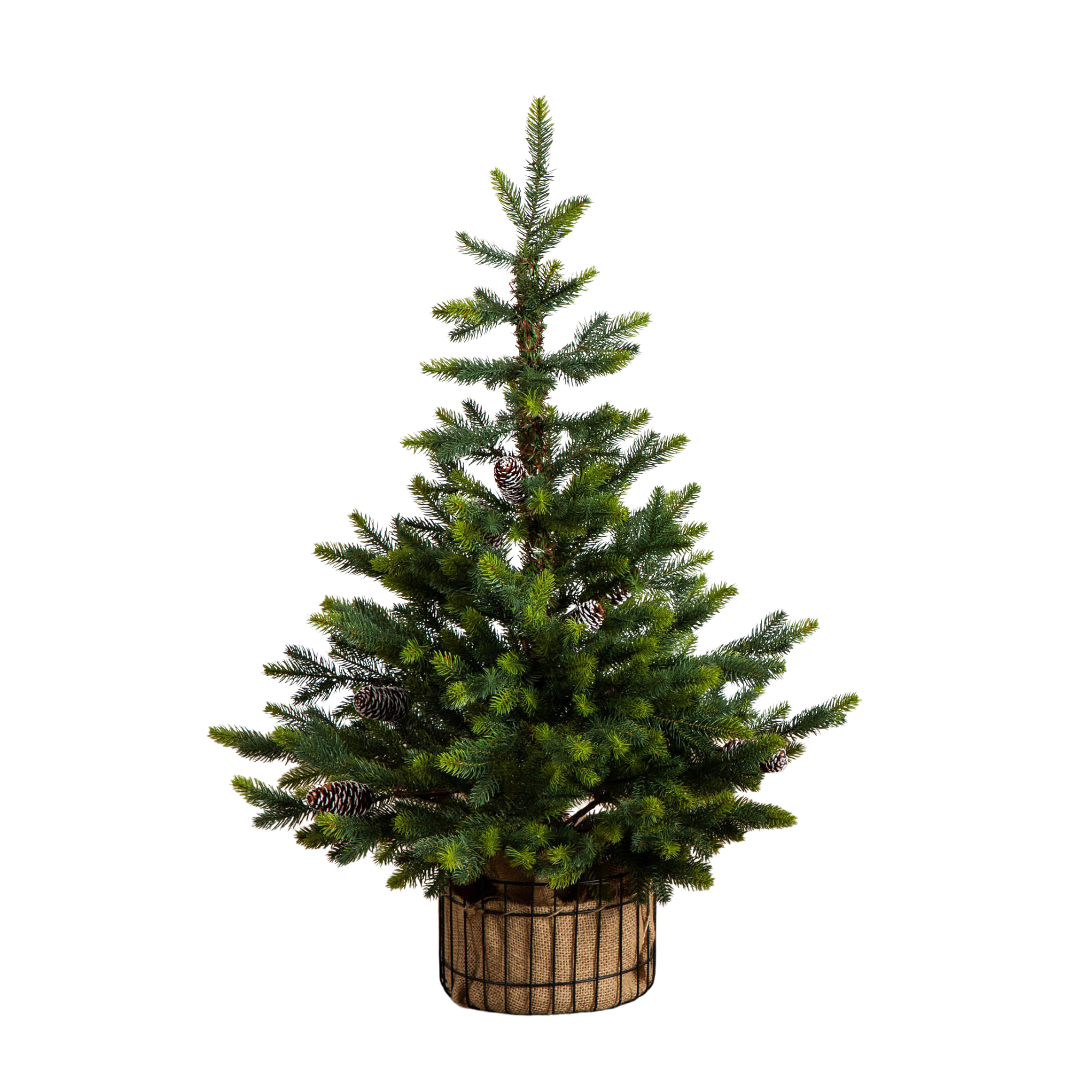 a mini Christmas tree