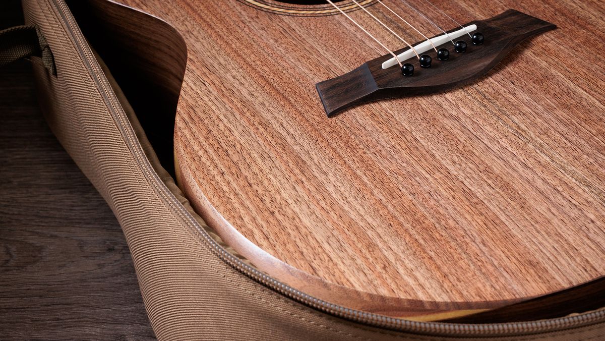 Taylor Jacob Collier signature acoustic guitar