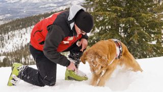 Ski patrol dog working