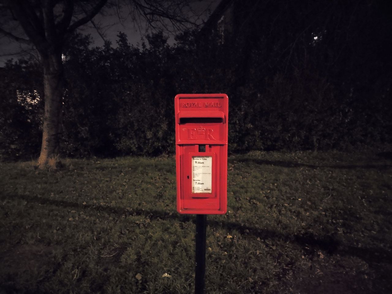 Vivo Y70 camera sample