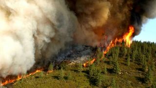 The Zaca Fire in Santa Barbara County