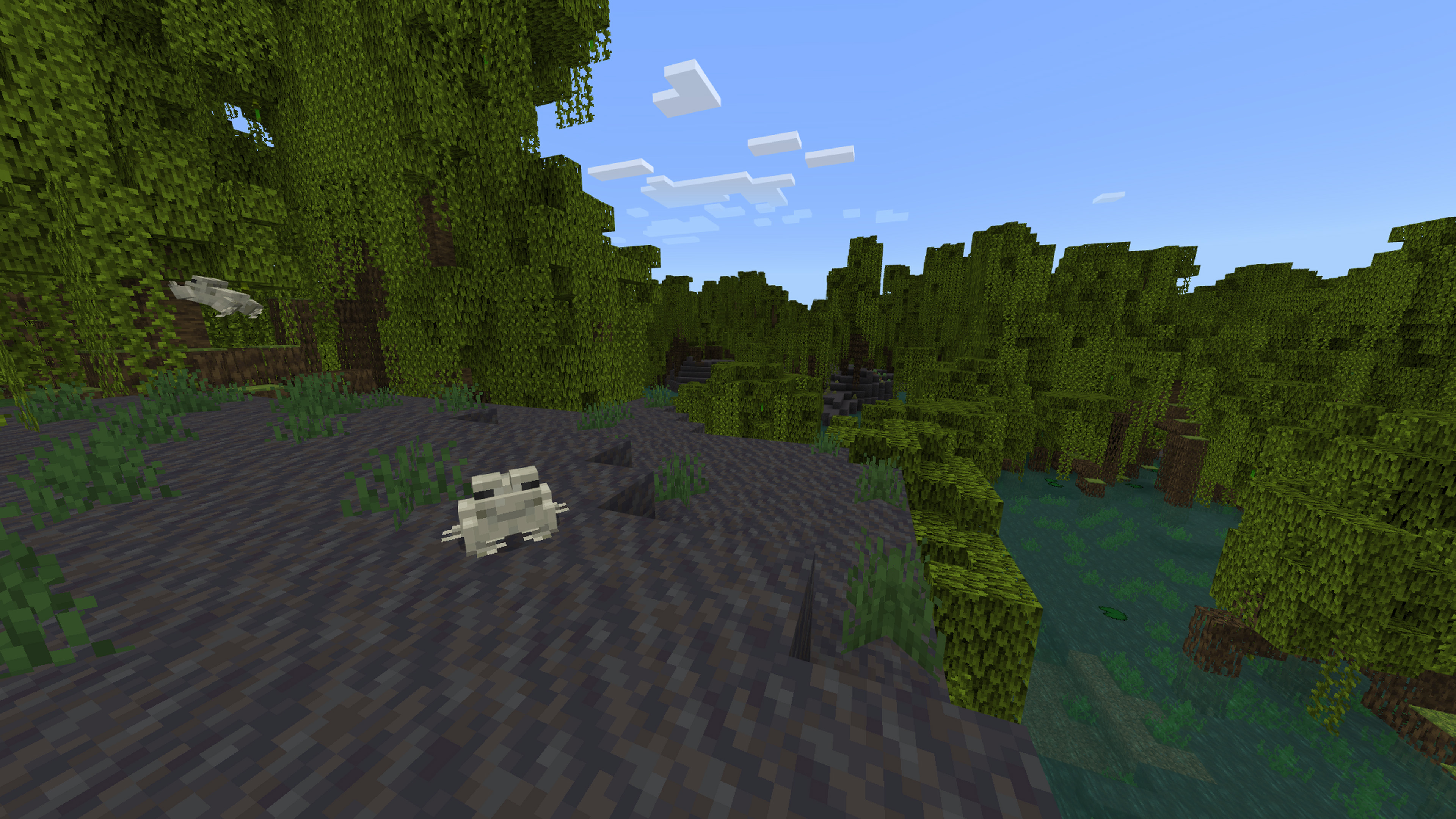 Les meilleures graines de mangrove et de grenouille de Minecraft