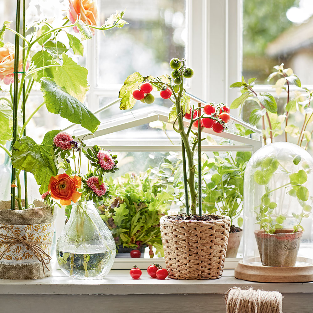 balcony with flower pots and white window