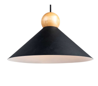 Topp Conical Pendant Light |  Was £159, Now £47 (70% off)