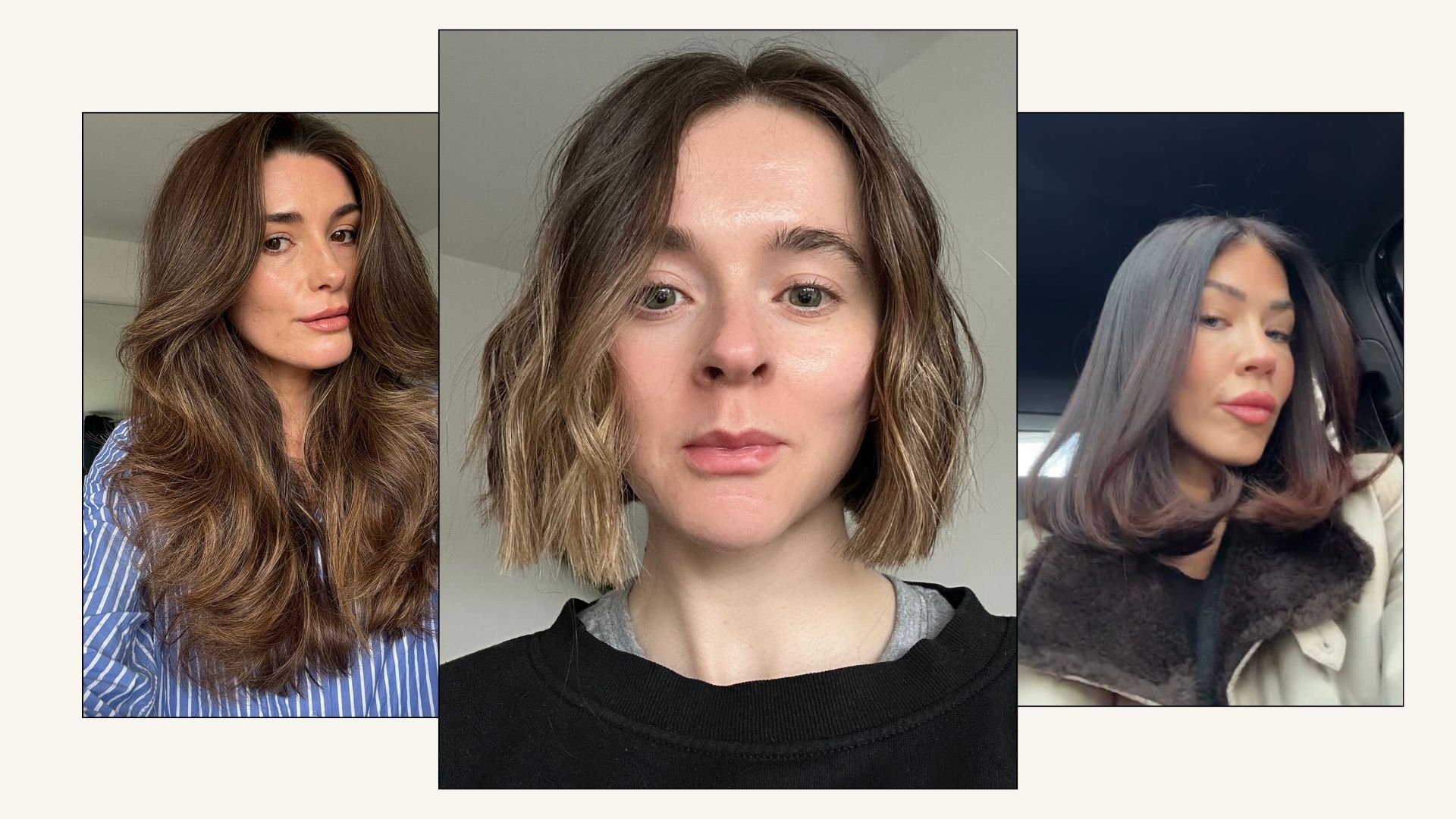 Collage of editors and content creators