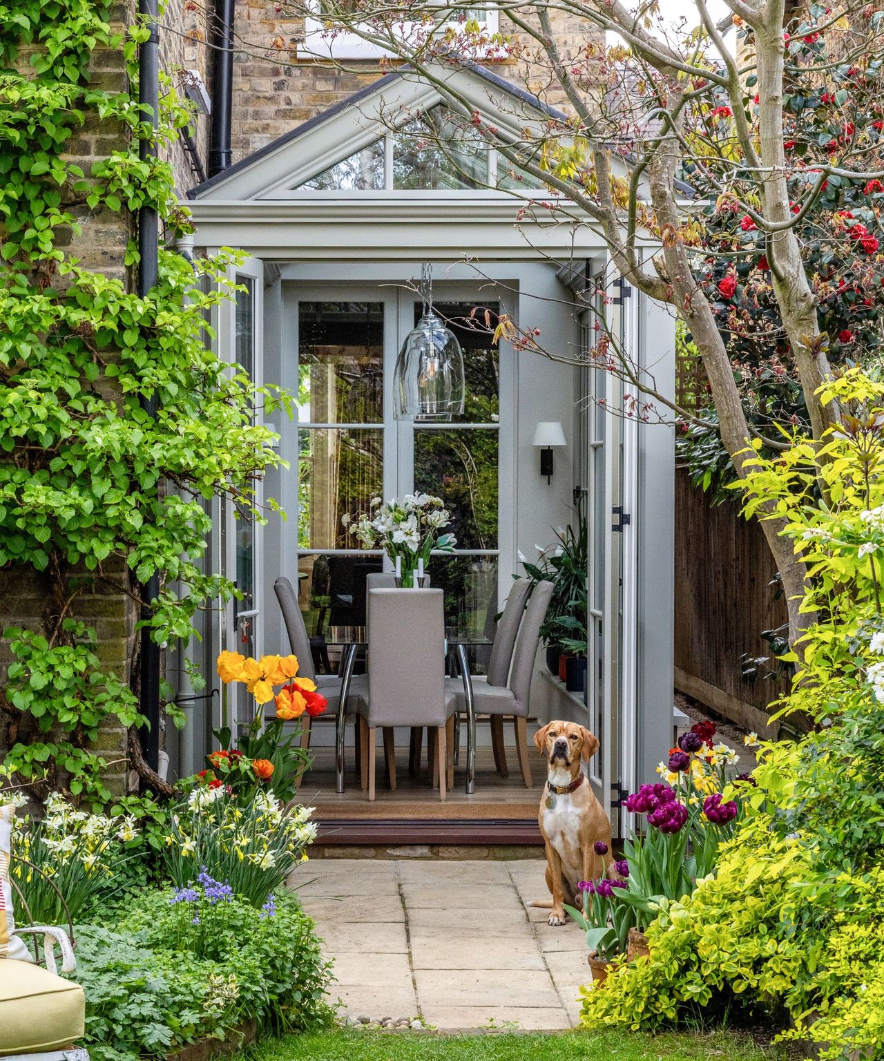 The exterior of the same grey orangery seen from the garden, doors open to reveal the dining table inside, a dog sitting on the path, surrounded by vibrant spring tulips and climbing plants.