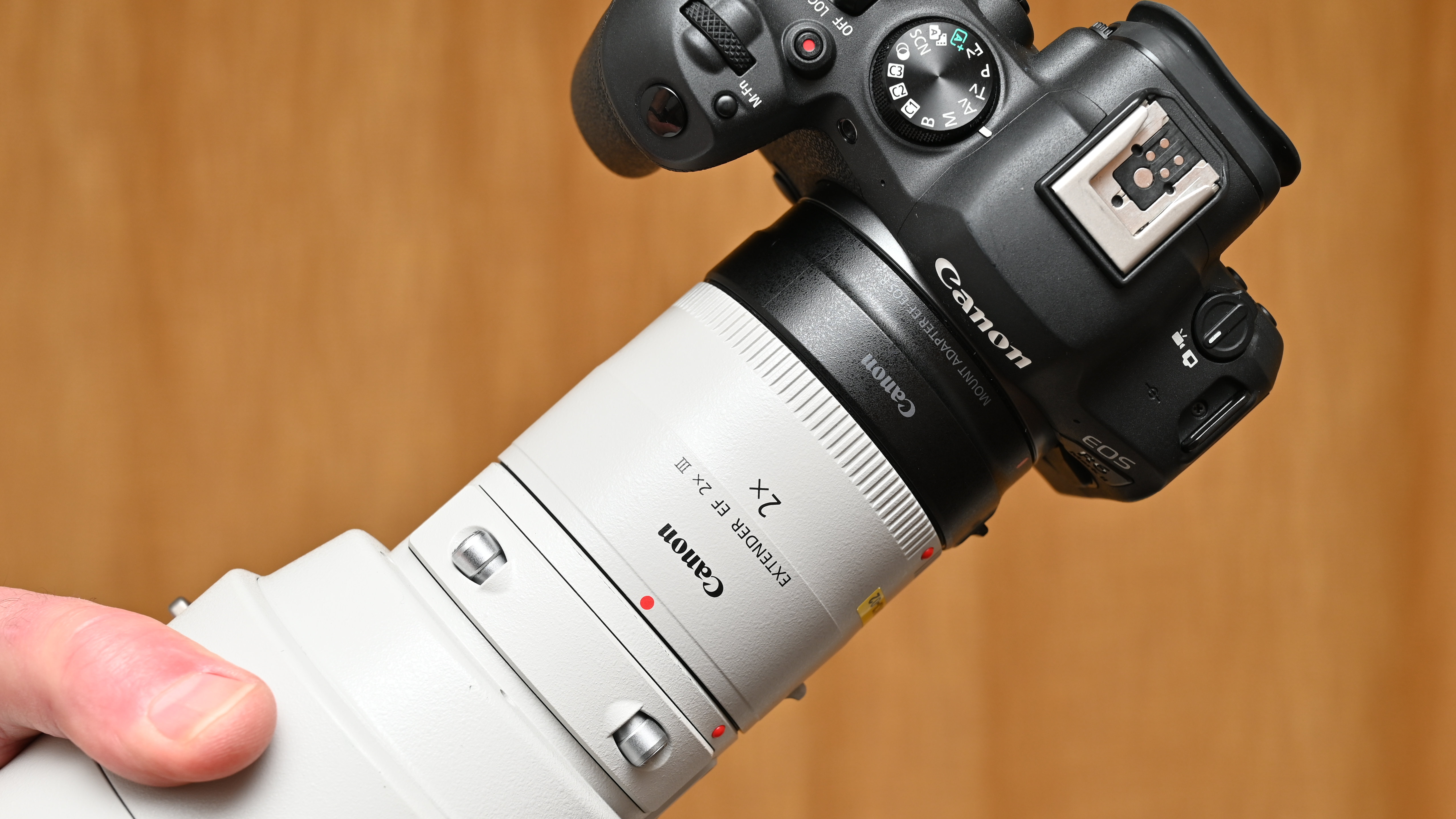 Canon Extender EF 2x III review: is twice as much twice as good ...