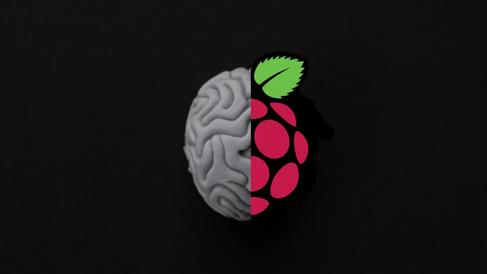 Proiecte Raspberry Pi: Februarie 2022