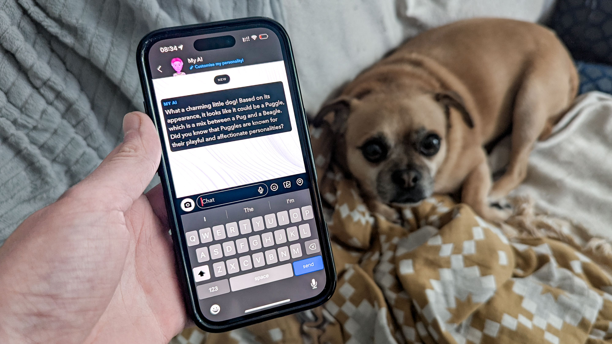Person holding iPhone with Snapchat My AI option on display with dog on blankets in background