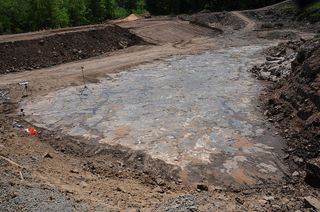 At the Riverside Quarry in Gilboa, New York, a construction project unearthed a preserved forest floor 380 million years old.